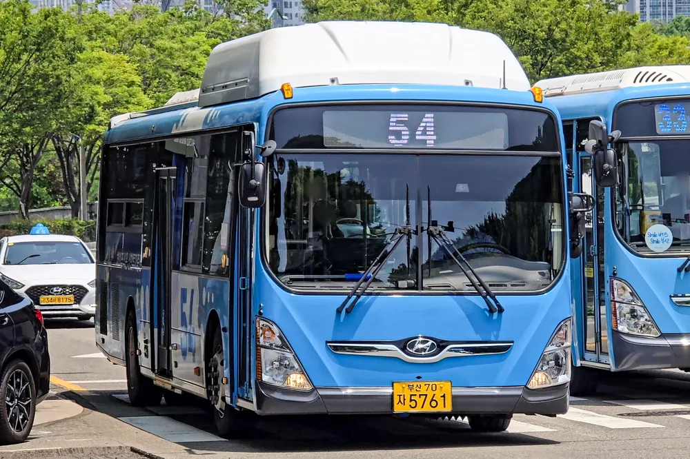 부산 54번 버스 노선 및 시간표 조회