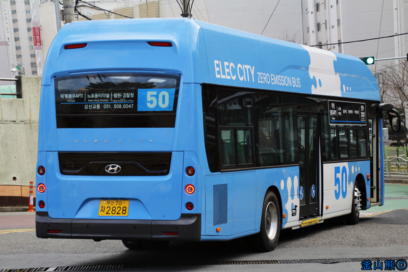 부산 50번 버스 노선 및 시간표 조회