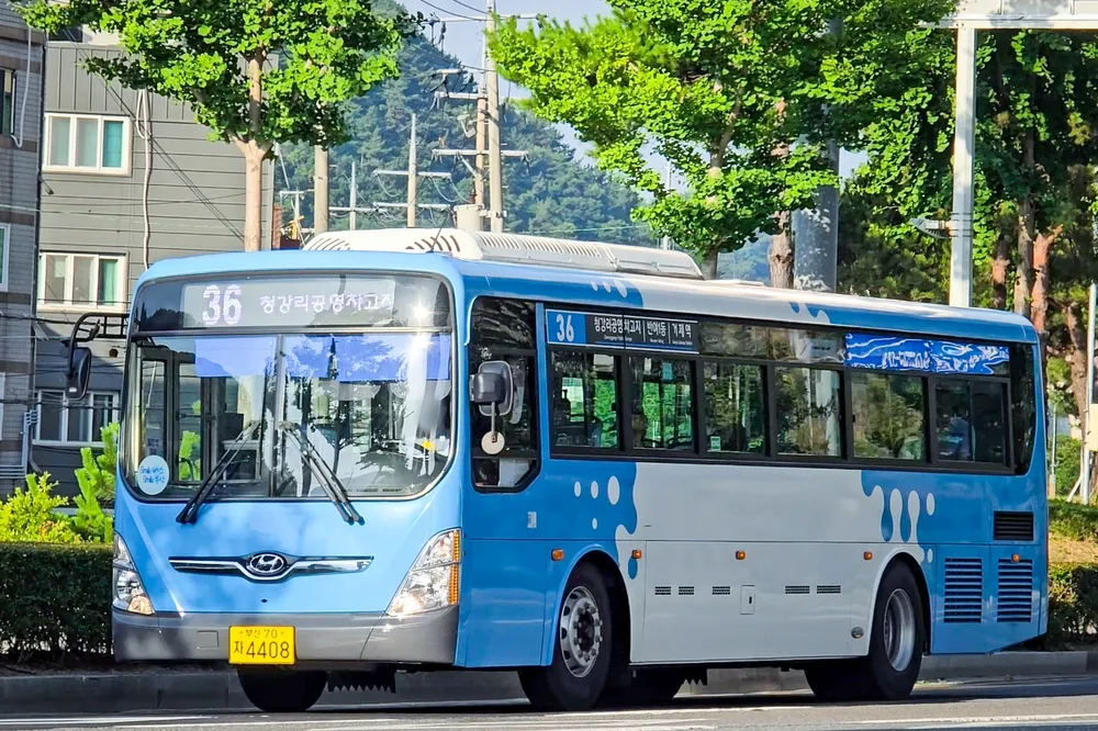 부산 36번 버스 노선 및 시간표 조회
