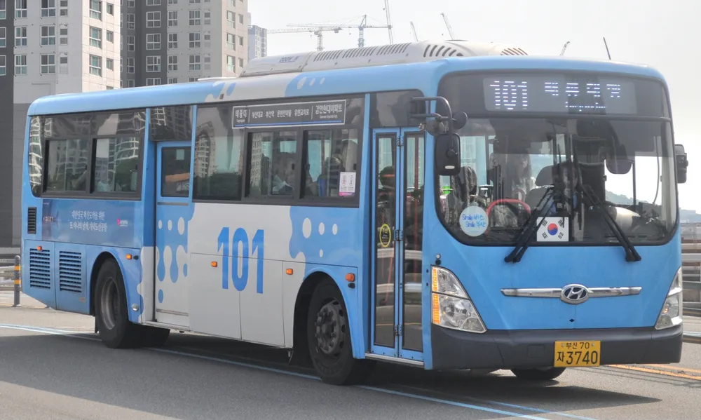 부산 101번 버스 노선 및 시간표 조회 방법
