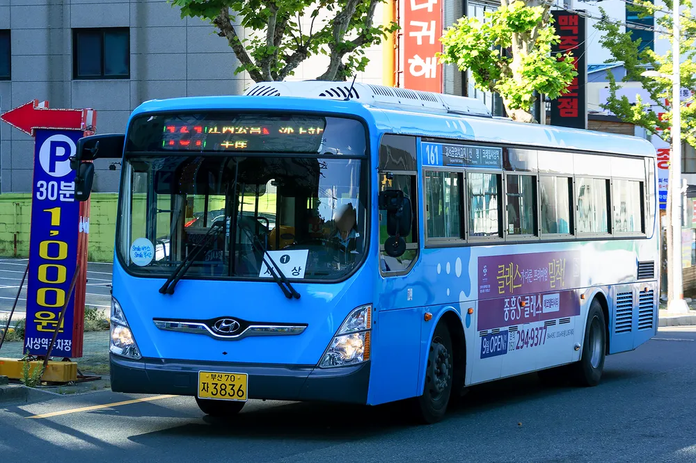 부산 161번 버스 노선 및 시간표 조회