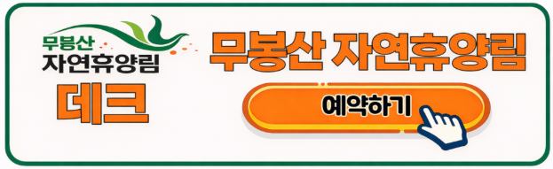 무봉산 자연휴양림 데크