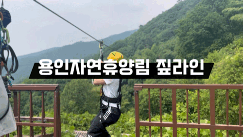 용인자연휴양림 짚라인