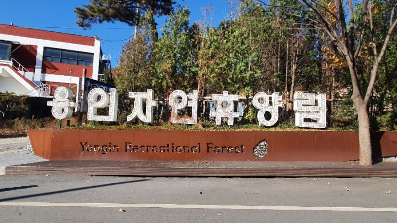 용인자연휴양림 캠핑장