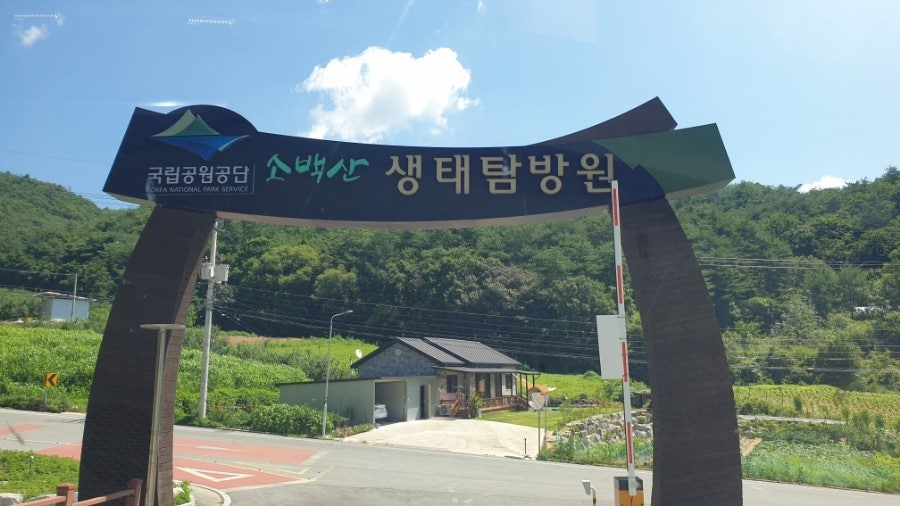 소백산 생태탐방원 예약