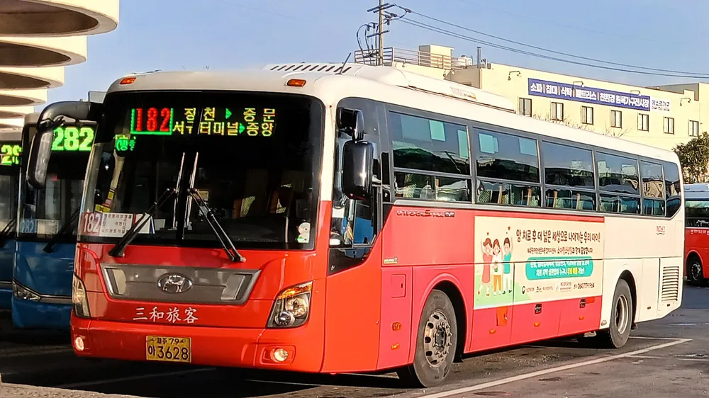 제주 181번 버스 시간표 및 버스 예약하기